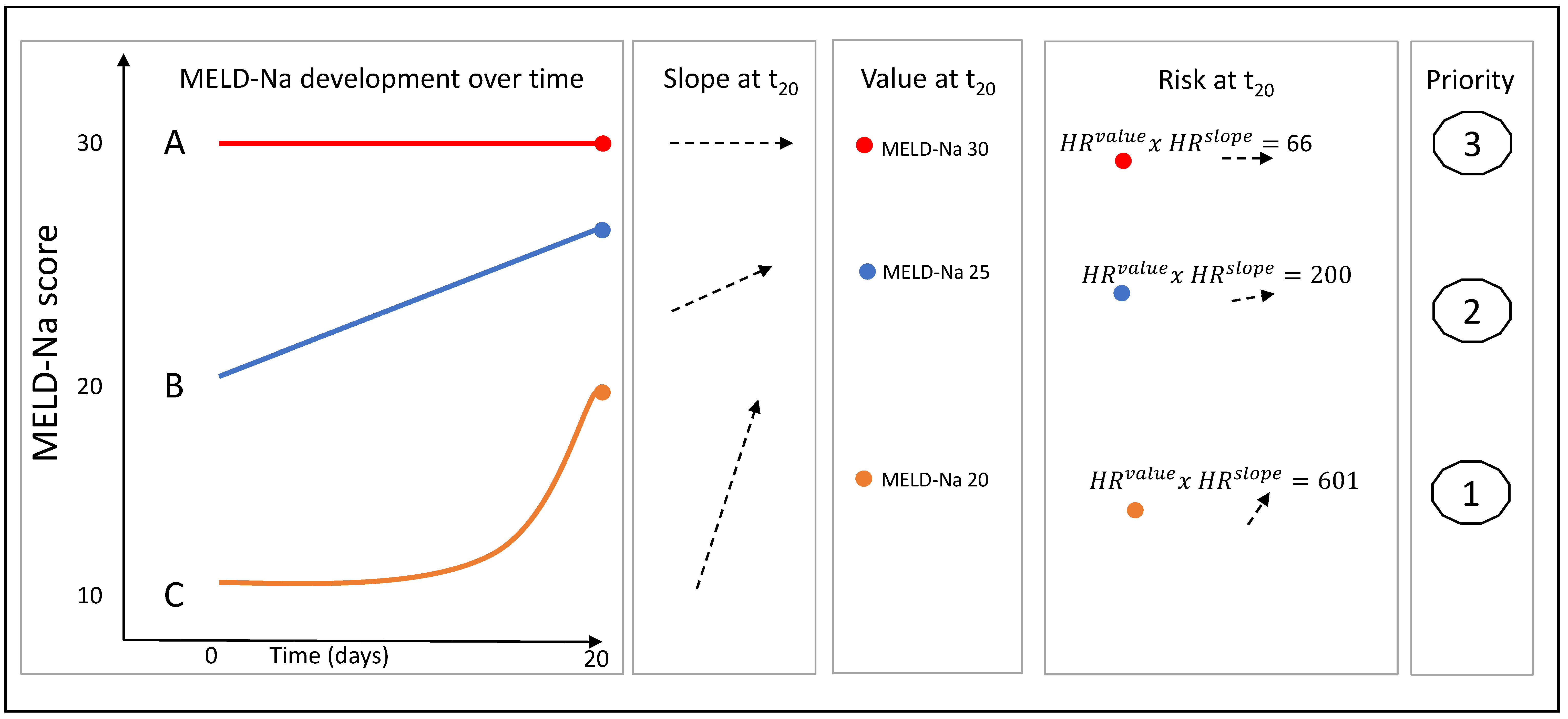 Three hypothetical patient MELD-Na trajectories over time, each illustrates differences in value, slope and risk.