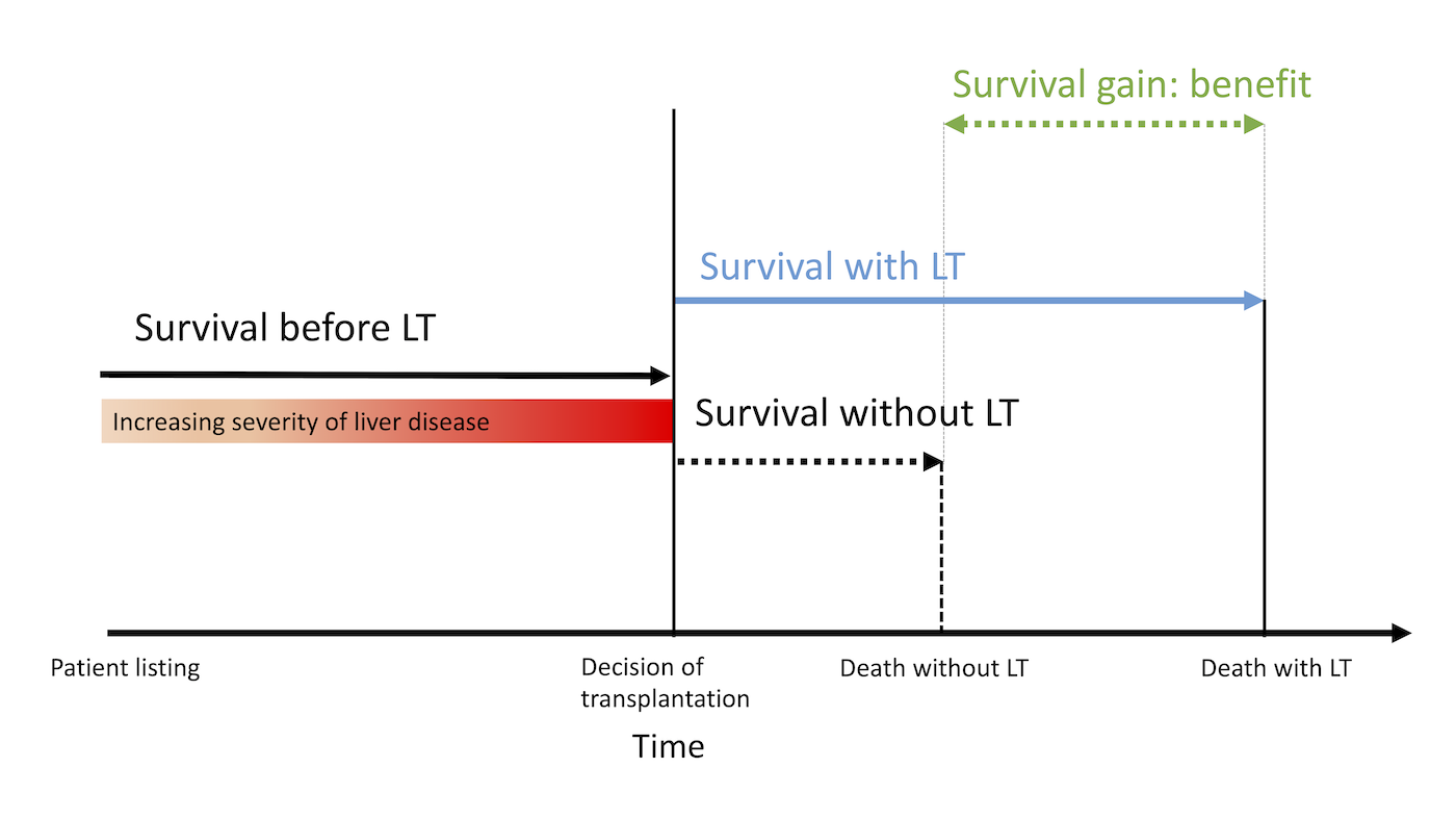 Survival benefit is defined as the difference in 5-year life-expectancy with and without transplantation. While patients are waiting for LT, time passes and disease severity typically changes. At the moment of transplantation, benefit is estimated. The survival up until transplantation (‘survival before LT’) is used to predict waiting list survival in absence of transplantation (‘survival without LT’). Without LT survival is then contrasted to posttransplant survival (‘with LT’) to calculate benefit.